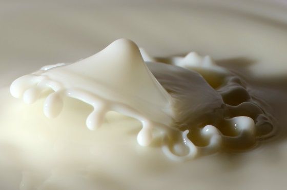 Los riesgos del uso de la leche desnatada como desinfectante