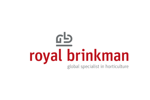 royal brinkman 