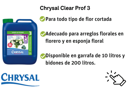 chrysal clear prof 3