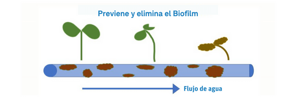 prevención y eliminación del biofilm