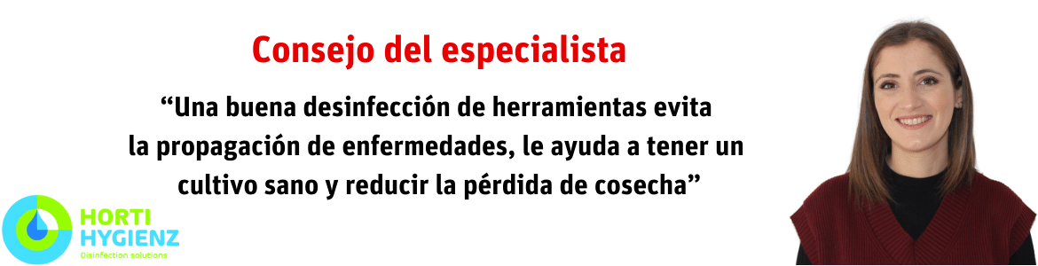 Consejo del especialista 