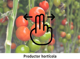 productor hortícola