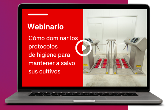 WebinarIO “Cómo dominar sus protocolos de higiene”