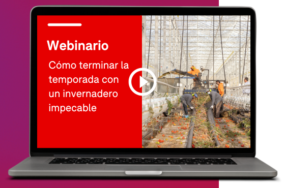 Webinar 'Cómo terminar la temporada con un invernadero impecable'