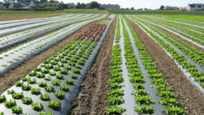 Copy of es landingspagina 12