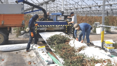 Copy of es landingspagina 7