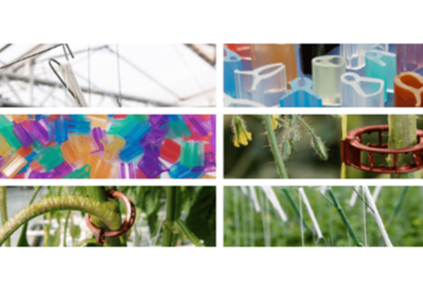 Solicite una muestra 2025 03 11 125206 gvvf