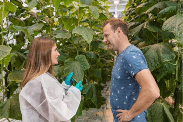 Es landingspagina 53 1