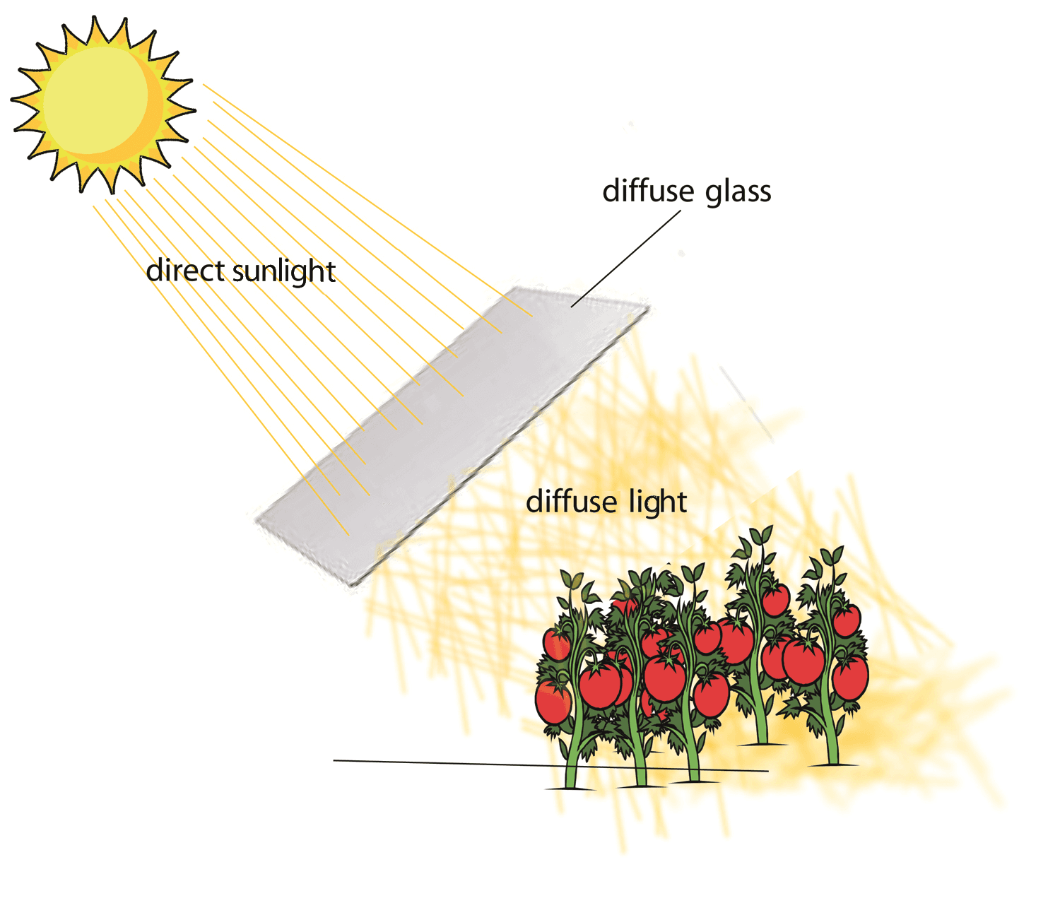 diffuse light