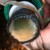 Biofilm dripper
