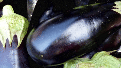 Es landingspagina 37