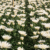 Es hortihygienz banner landing 1